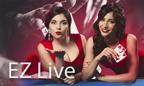 Video Slot with Bonus Game